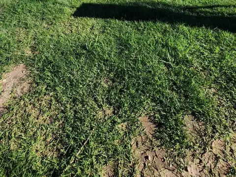 Terreno en Venta de 250,0 m2