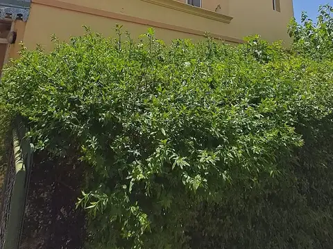 Camino de la Bota 1800