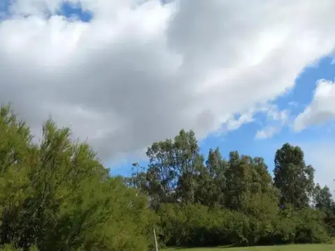 Terreno en Venta de 350,0 m2