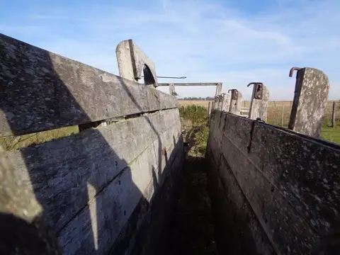 Campo en Venta de 230  ha