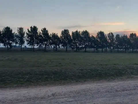 Terreno en Venta de 2000,0 m2