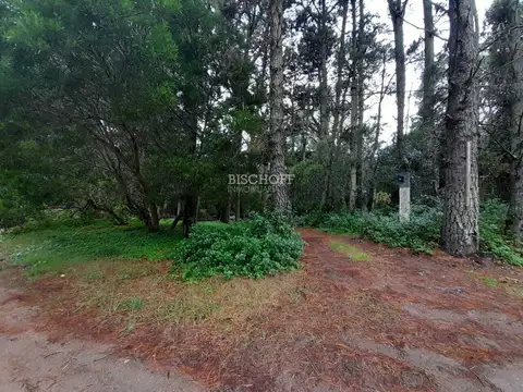 VENTA DE TERRENO, EN MAR DE LAS PAMPAS