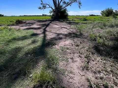 Campo en venta - 10Has - Exaltación De La Cruz