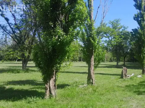 Terreno Campo  en Venta en Capilla del Señor, Exaltación de la Cruz, G.B.A. Zona Norte
