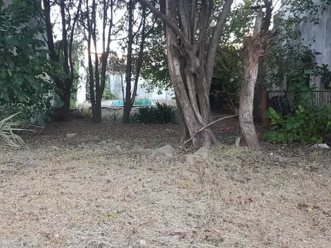 Excelente Lote de 280m2 cercano a estación. Ideal constructor. Venta no condicionada- Carapachay