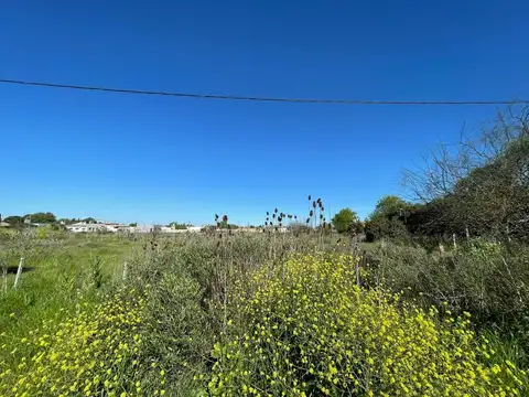 Terreno en Venta en Arana, USD 11.500