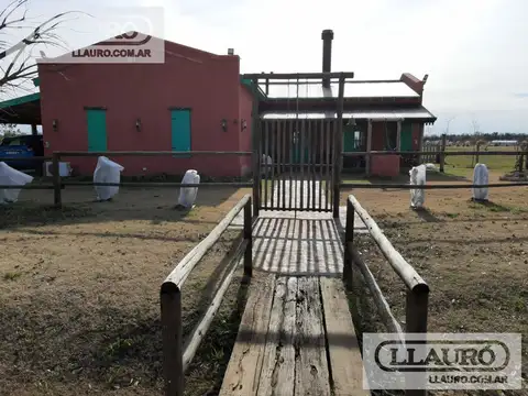 Medal Country Club Pilar