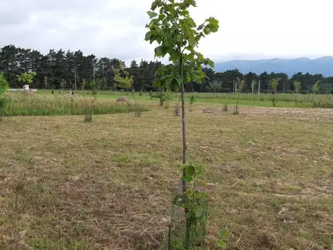 Terreno en Los Reartes
