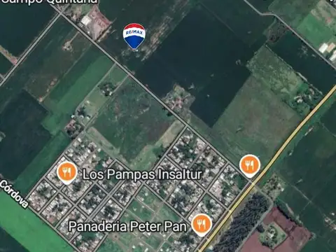 VENTA CAMPO AGRICOLA CAMPO SALLES  5 HA