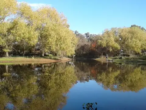 Campo en venta Lobos 8 hectáreas