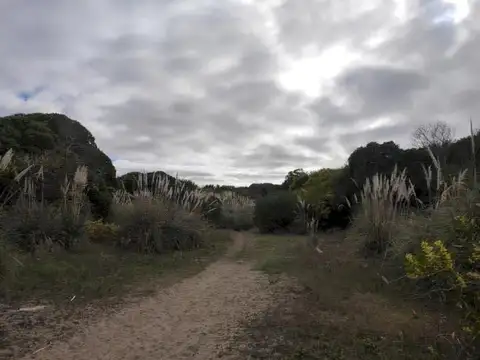 Terreno en Venta 10  mts Frente