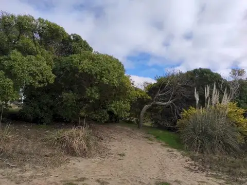 Terreno en Venta 10  mts Fondo