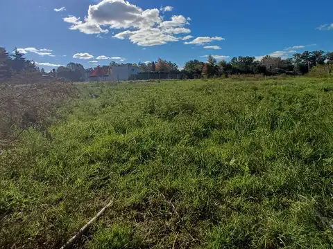 Terreno en Venta en Villa Lia, USD 45.000