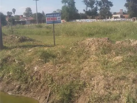 AV 33 LOS ESPAÑOLES 1100