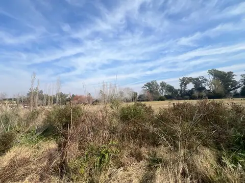 Terreno en Venta de 9032,0 m2