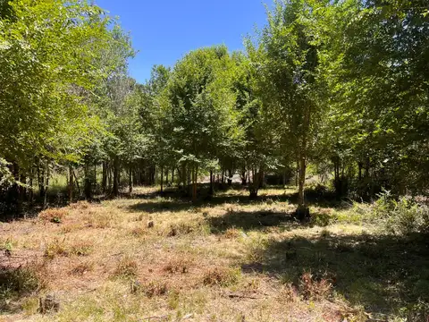 Terreno en Venta en Santa Rosa De Calamuchita, USD 19.900