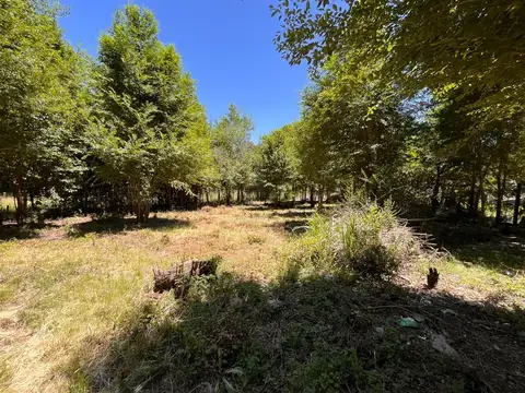 Lote, venta 5 minutos del Centro.  Financiación hasta 12 cuotas. B° Las Barrancas. Calamuchita (Cód. 2155)