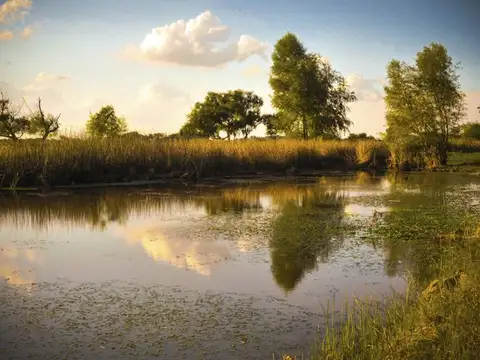 Terreno en Venta de 2511,0 m2