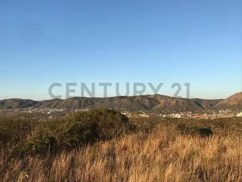 Terrazas de Palya de Oro