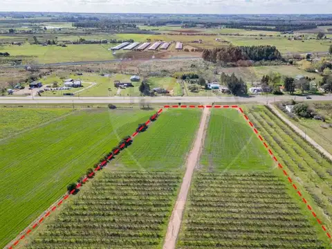 Brigadier General Fructuoso Rivera 100