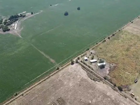 3 Campos de 5 has c/u en Venta cercano a la ruta 6