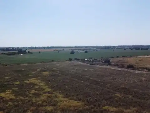 3 Campos de 5 has c/u en Venta cercano a la ruta 6