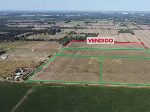 3 Campos de 5 has c/u en Venta cercano a la ruta 6