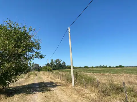 3 Campos de 5 has c/u en Venta cercano a la ruta 6