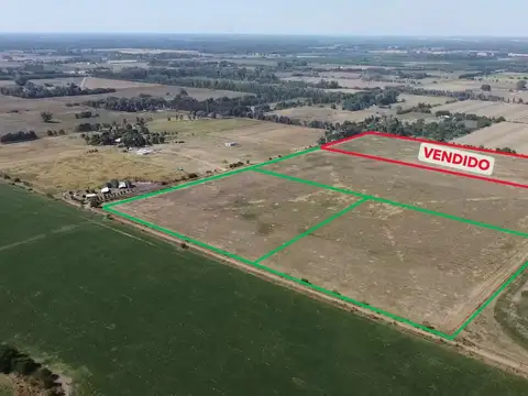 3 Campos de 5 has c/u en Venta cercano a la ruta 6