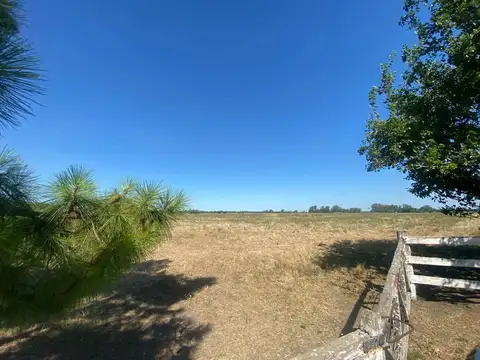 3 Campos de 5 has c/u en Venta cercano a la ruta 6