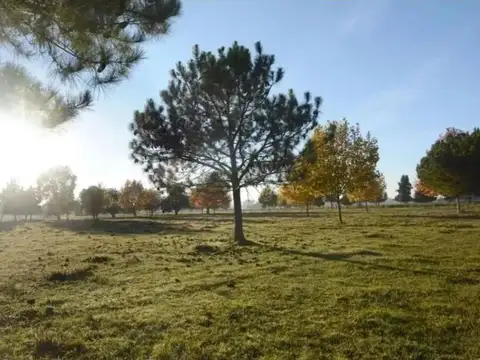 Hermoso lote interno en barrio cerrado Mirabosques (Cardales