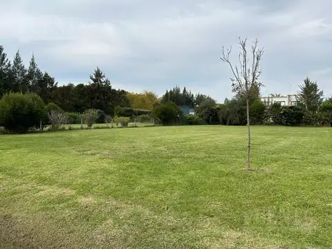 Santo Domingo cerca del Ingreso al Barrio!!