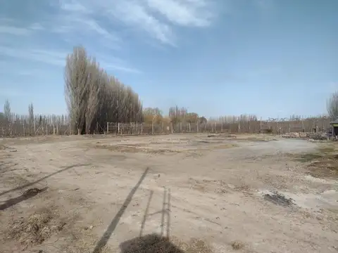 Galpon en Alquiler en Allen, USD 6.000