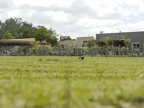 Terreno en Venta de 420,0 m2