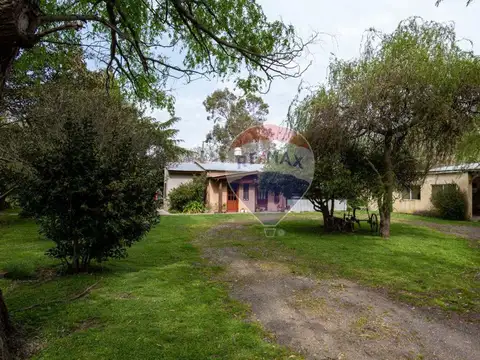 Venta Quinta Gral Madariaga, idel para apicultores