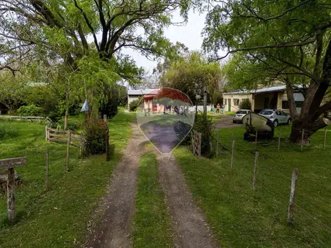 Ruta Provincial 74 19500