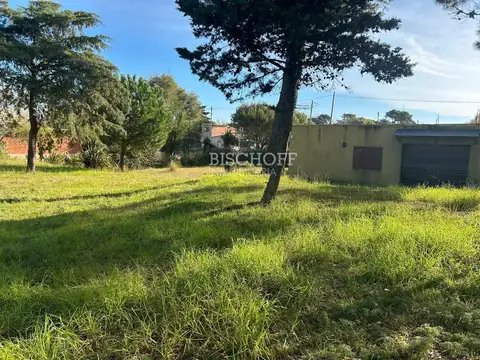 VENTA DE GALPON EN AMPLIO TERRENO