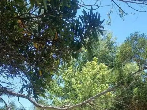 Terreno en Venta en Berisso, USD 135.000