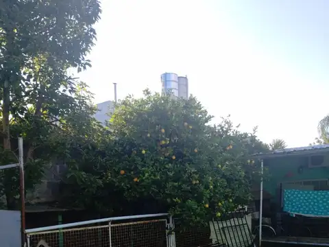 Rodríguez Peña 1300