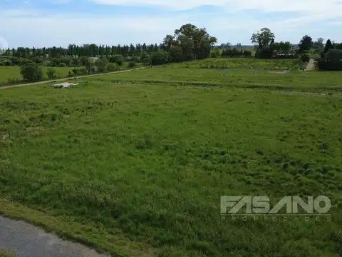 Romulo Alvarez al 4900