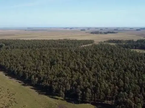 Únicas Hectáreas con Acceso Exclusivo al Mar y a Ruta 11
