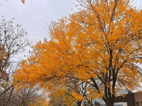 Casa en Alquiler en San Andres, USD 1.800