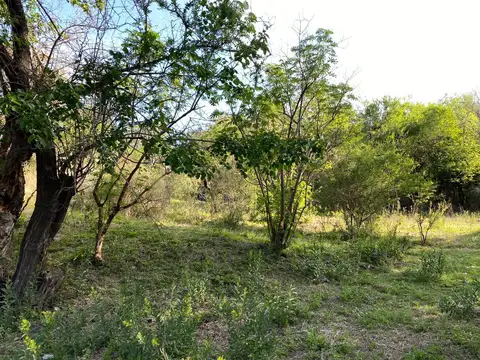 LOTE EN VENTA EN LA RANCHERITA