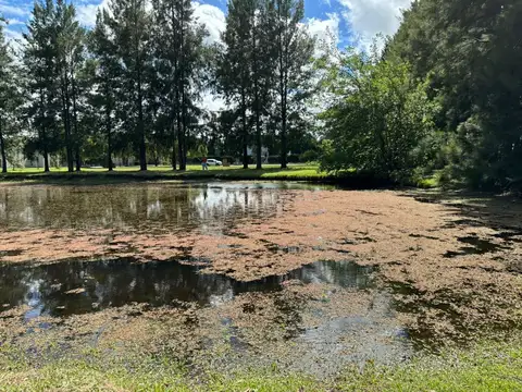 Terreno en Venta en Haras Del Sur, USD 19.000