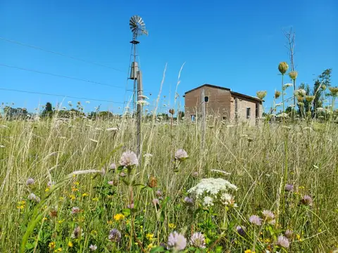 Venta Terreno / Lote Cucullú 1000 m2