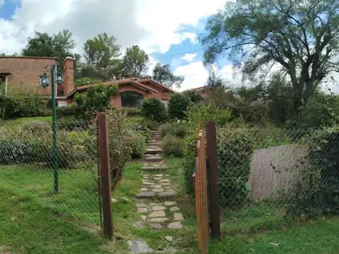 felix de michelis 100