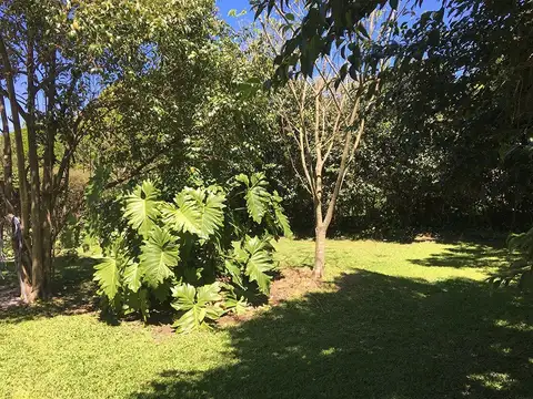 Av Nuestras Malvinas 500