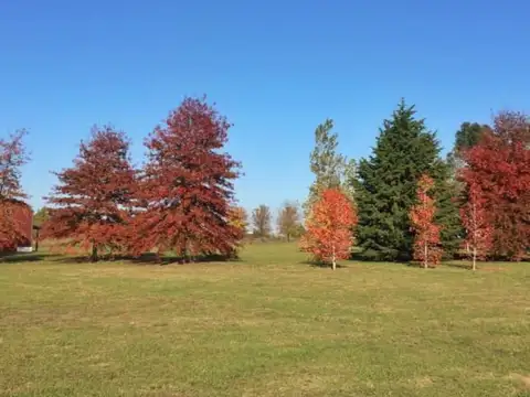 Chacras El Chajá 100