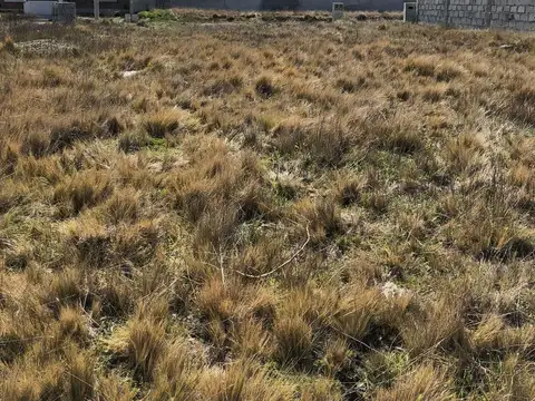 Terreno en Venta en Rio Grande, USD 25.000