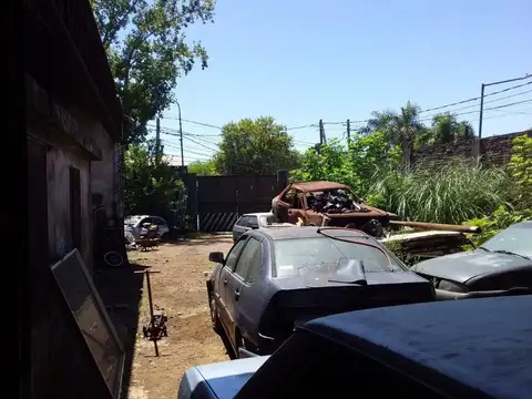 Techo parabólico de 11 mts de altura